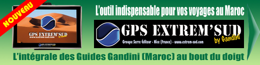 PUB-GPS-GANDINI